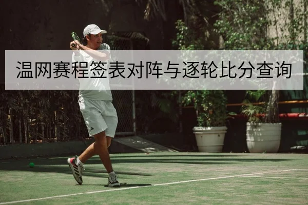 网球大满贯选手体能伤病名单与退赛动态查询